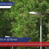 Благоустройство в сквере «Выставка цветов» в Московском районе продолжается