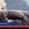 Посещать Кержнеский заповедник можно только с  экскурсоводом