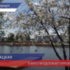 В Богородске идет реконструкция Кабацкого озера