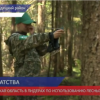 Нижегородская область - эффективный регион по использованию лесных ресурсов