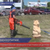 Конкурс профессионального мастерства «Лучший лесоруб» прошел в Нижегородской области