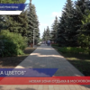 Сквер «Выставка цветов» благоустроили в Московском районе