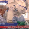 После двойной пересадки органов нижегородка родила здоровую девочку