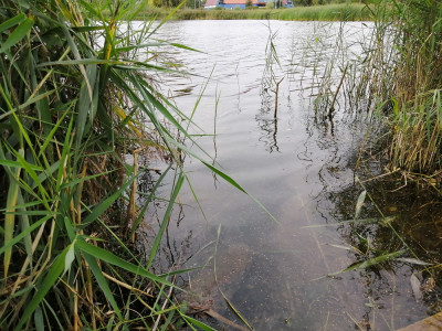 За 10 июля в водоемах Нижегородской области утонуло 2 человека 