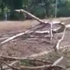 Ураганный ливень обрушился на Бор
