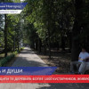 Новый сквер у бассейна «Дельфин» открыли в Нижнем Новгороде