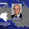 Дмитрий Чернышенко назначен куратором Приволжского федерального округа