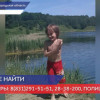 950 человек ищут без вести пропавшего четырехлетнего Илью Молева в Павловском районе