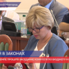 В Законодательном Собрании Нижегородской области состоялось заседание комитета по бюджету и налогам