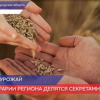 Рекордный урожай 1 миллион 600 тонн зерна в прошлом году собрали в Нижегородской области