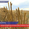 Нижегородские аграрии приступили к уборке урожая