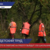 350 школьников за лето выйдут на работу в Павлове