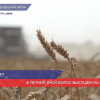 Как Нижегородская область справляется с климатическим ударом, и какие прогнозы на сбор урожая?