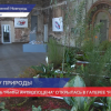Выставка «Мифы антропоцена» посвященная защите природы открылась в Нижнем Новгороде