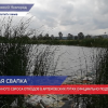 Горы строительного и бытового мусора образовались в Артемовских лугах