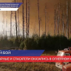 Пожарные и спасатели оказались в огненном кольце на границе Нижегородской и Мордовской областей