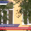 Причиной недомогания школьников, скорее всего, стала норовирусная инфекция