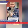 Нижегородские полицейские приютили двух котят и ищут для них новый дом