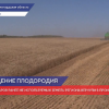 20 тысяч гектаров ранее не используемых земель Нижегородской области вернули в производство