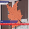 Учебный процесс приостановлен в 14% образовательных учреждений Нижегородской области из-за Covid-19 и гриппа