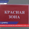 Обновлен максимум по количеству заболевших  COVID-19 за сутки