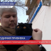 40 тысяч домашних питомцев привили от бешенства с начала года в Нижнем Новгороде и области