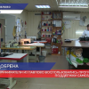 Павловские предприниматели воспользовались программой поддержки самозанятых