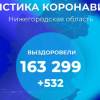 В Нижегородской области зафиксировано еще 711 случаев заражения коронавирусом