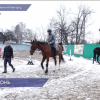 Занятия по конной стрельбе из лука и джигитовке для трудных подростков проходят в Нижнем Новгороде