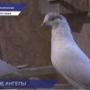 У молодоженов в селе Воскресенское появилась новая традиция
