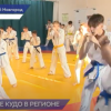 В 2011 году в Нижний Новгород пришел вид спорта КУДО