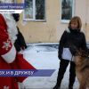 Служебных собак поздравили с Новым годом сотрудники кинологической службы