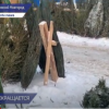 Россельхознадзор  по Нижегородской области и Республике Марий Эл продолжает проверки елочных базаров