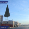 Главная елка Нижнего Новгорода на площади Минина и Пожарского покидает свои владения