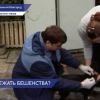 Два случая заболевания бешенством домашних животных выявили в Нижегородском районе