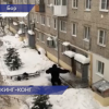 Человекообразную обезьяну увидели жители одного из борских дворов