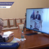 Региональных операторов начнут лишать аккредитации за несвоевременный вывоз мусора