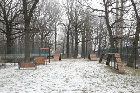 В нижегородском парке «Швейцария» появятся школы для собак