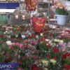 Топ пяти самых популярных цветов к 8 Марта