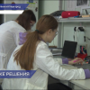 Нижегородские ученые разрабатывают средство борьбы с раковыми опухолями