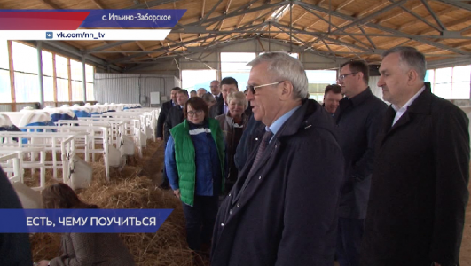 Село Ильино Заборское Нижегородская. Колхоз Ильино-Заборское Нижегородская область. АО Ильино-Заборское Семенов.