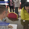 Кошек и собак, прибывших вместе с хозяевами-переселенцами, прививают от бешенства в Нижнем Новгороде