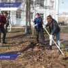 Учреждения культуры, спорта и образования присоединились к генеральной уборке города Дзержинска