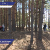Несанкционированную свалку убрали на территории Борского районного лесничества