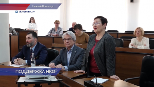 Нижегородские нко. Меры грантовой поддержки НКО.