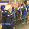 Акция «Палисадник Победы» проходит в Нижегородской области