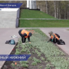 Более 36 тысяч квадратных метров цветников высадят в Нижнем Новгороде