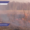 Рослесхоз подтвердил готовность Нижегородской области к пожароопасному сезону