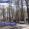 Сквер «Маяк» в Нижнем Новгороде благоустроят  до 15 июля