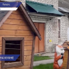 Вспышка сальмонеллеза произошла в детском саду №18 в Городце